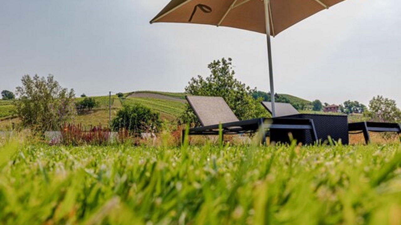 Photo of Outdoor in Canelli