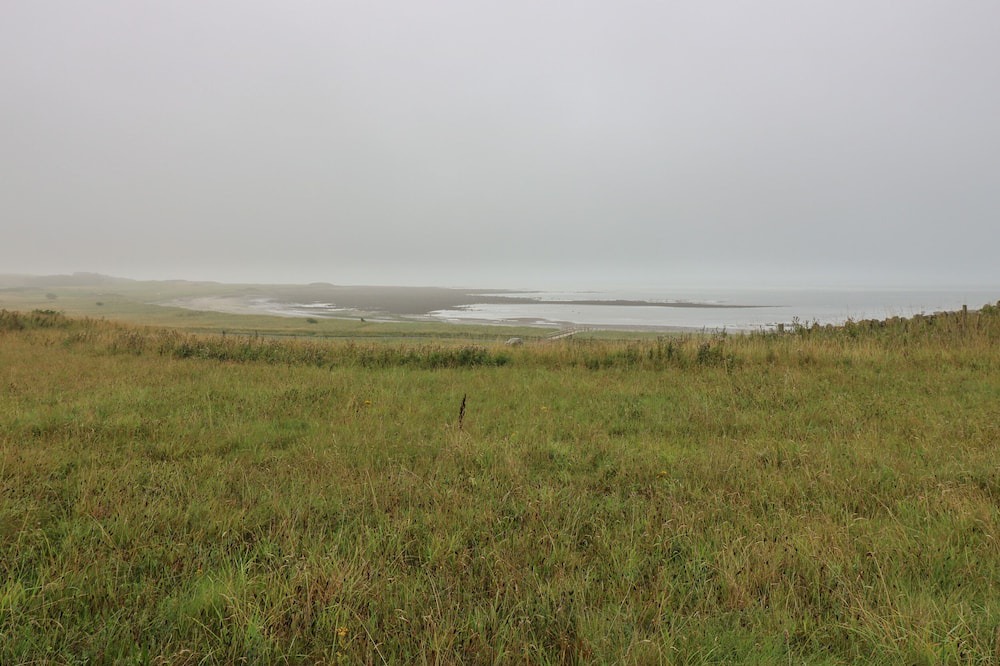 Photo of Others in Dunbar