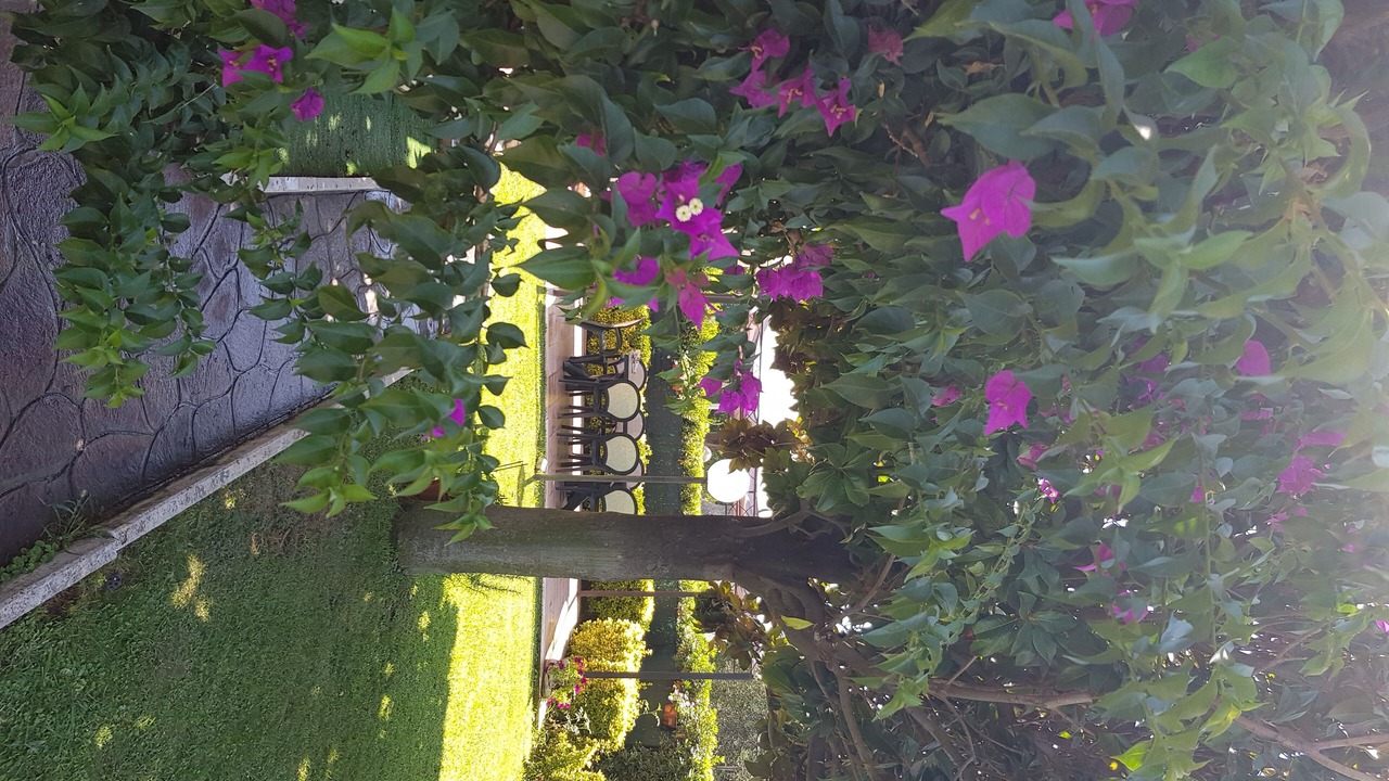 Photo of Outdoor in Marina di Cerveteri