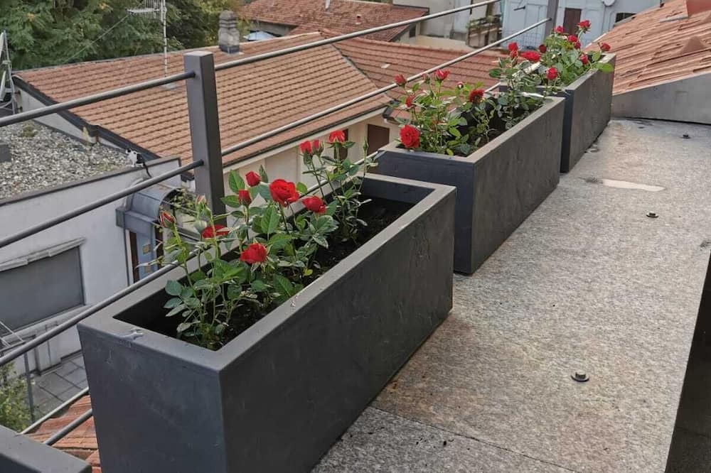 Photo of Outdoor in Arona