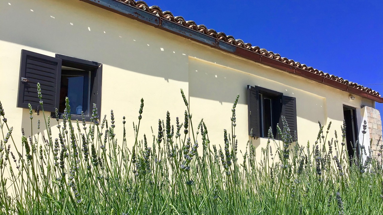 Photo of Outdoor in Castilenti