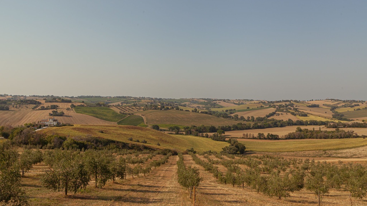 Photo of Others in San Marcello