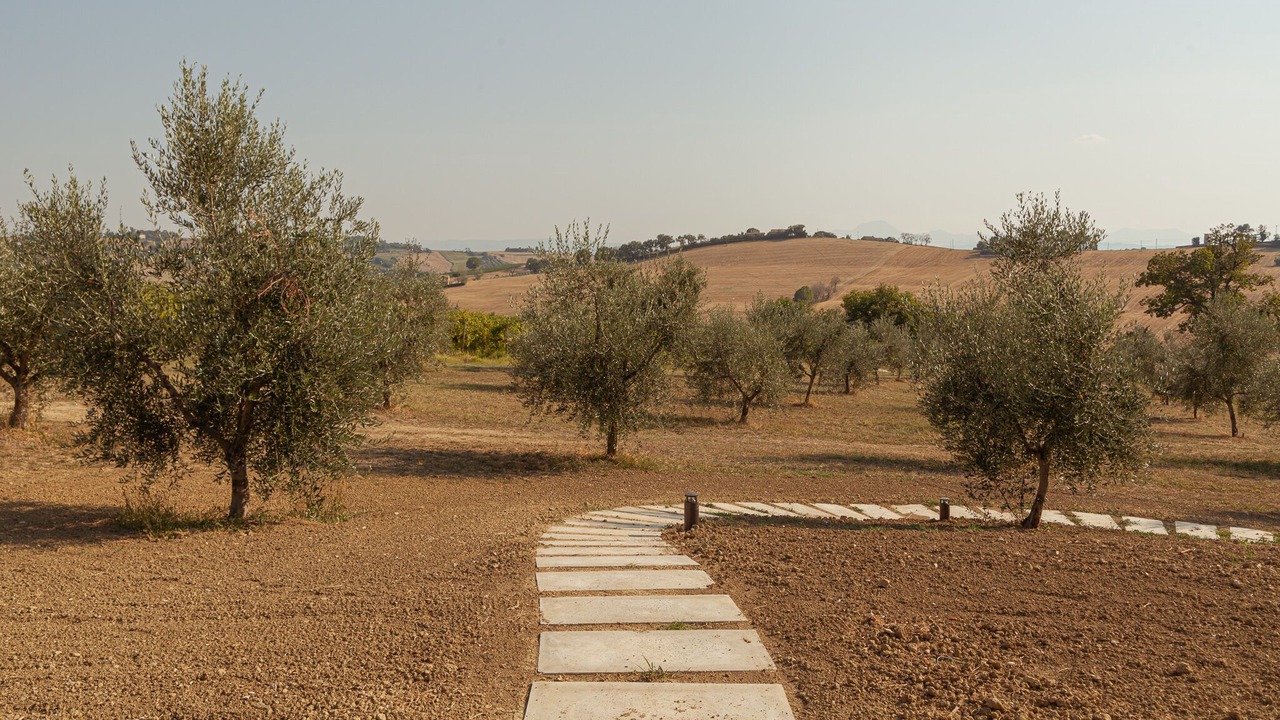 Photo of Outdoor in San Marcello