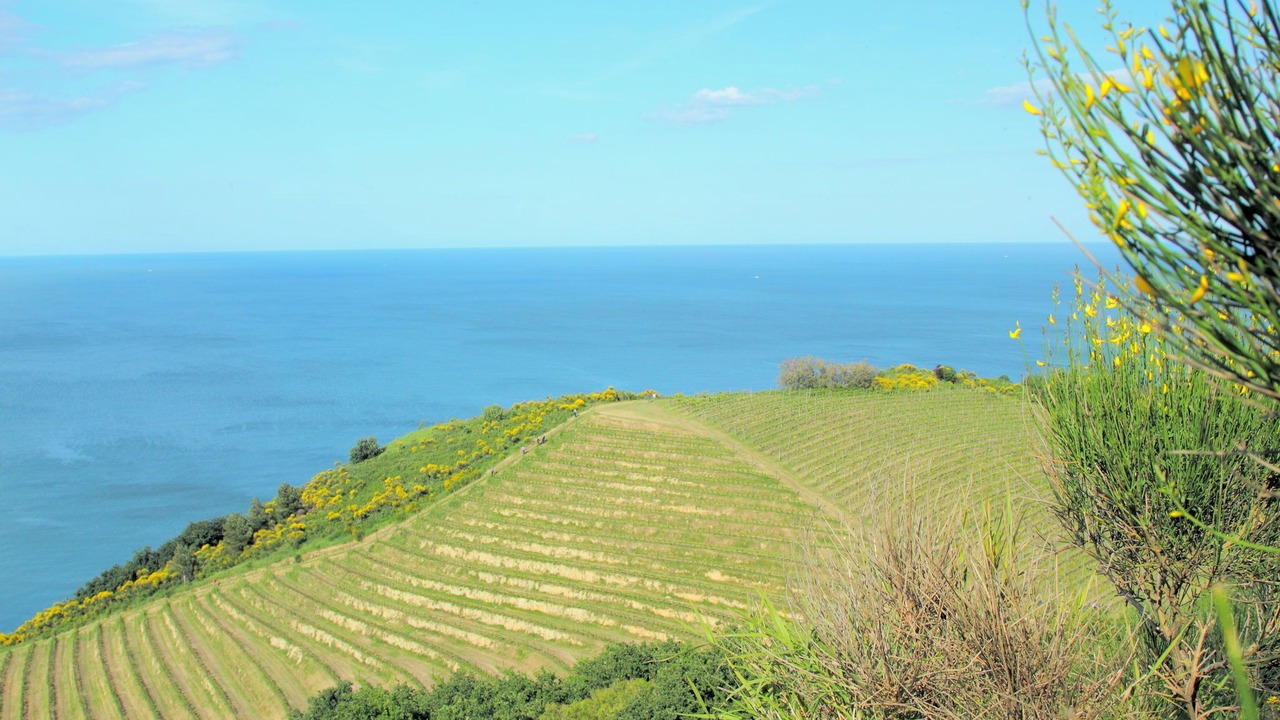 Photo of Others in Acqualagna