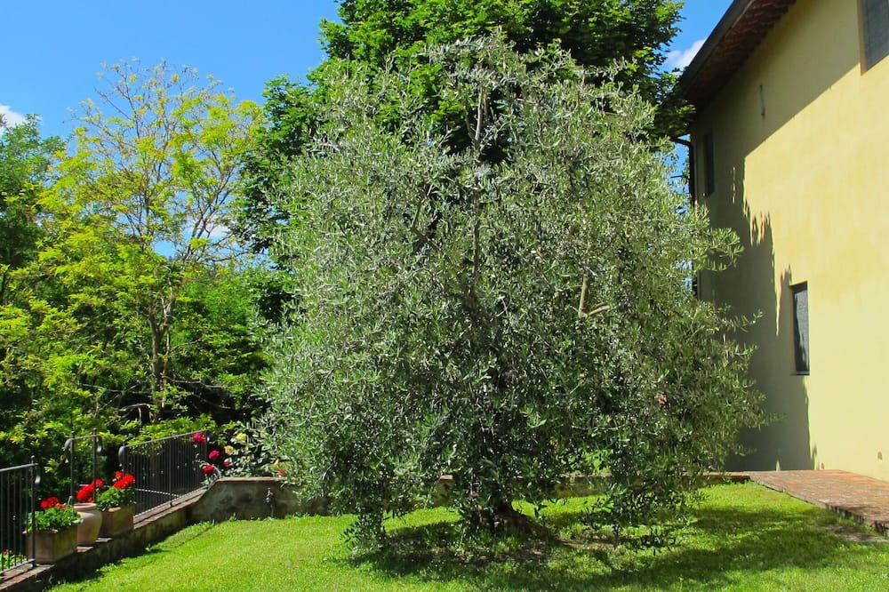Photo of Outdoor in San Giovanni Valdarno