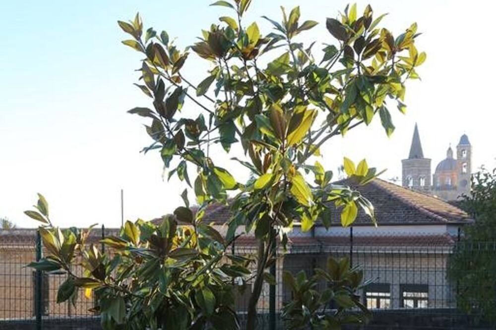 Photo of Outdoor in Urbino