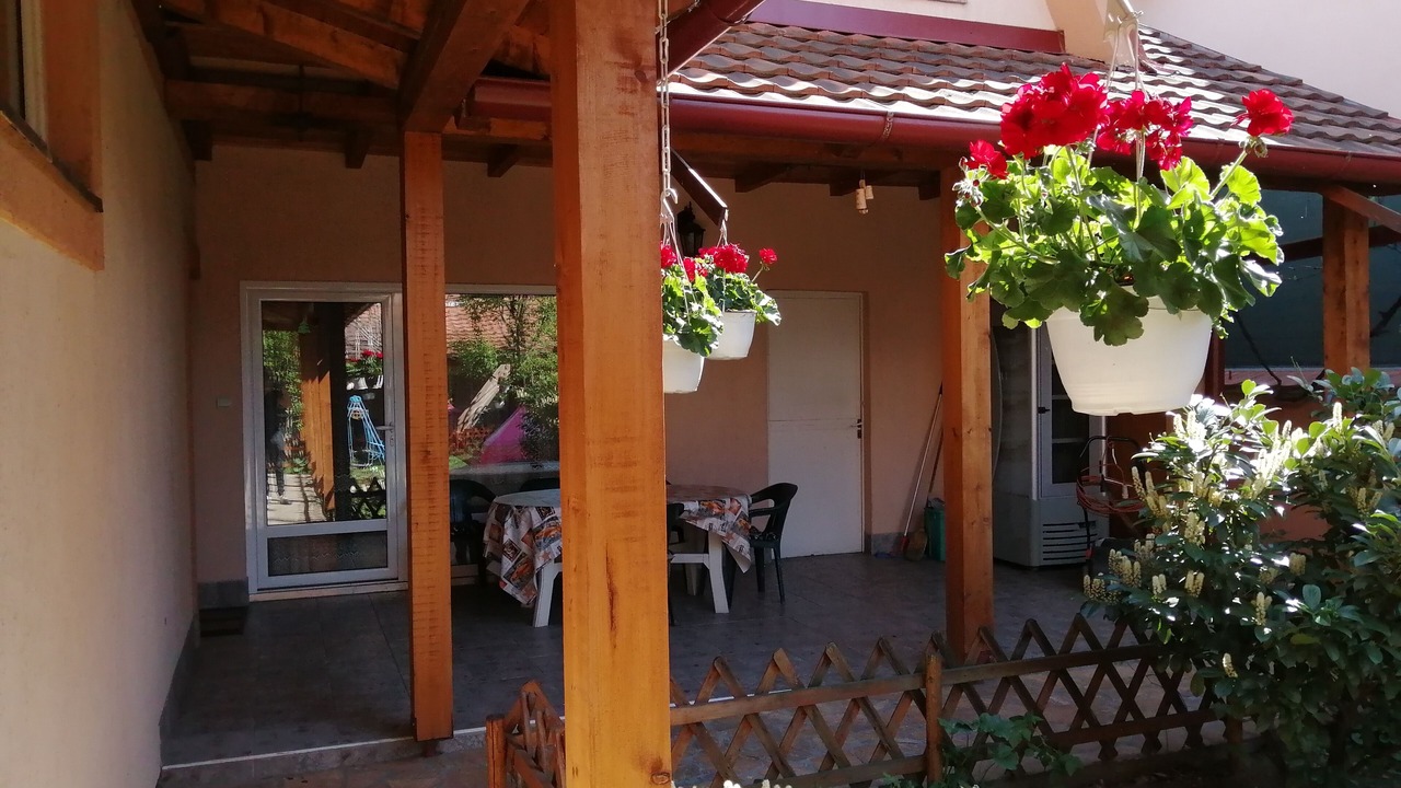 Photo of Outdoor in Zemun