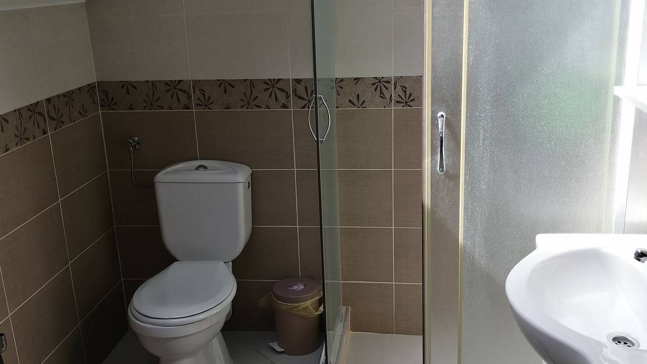 Photo of Bathroom in Zemun