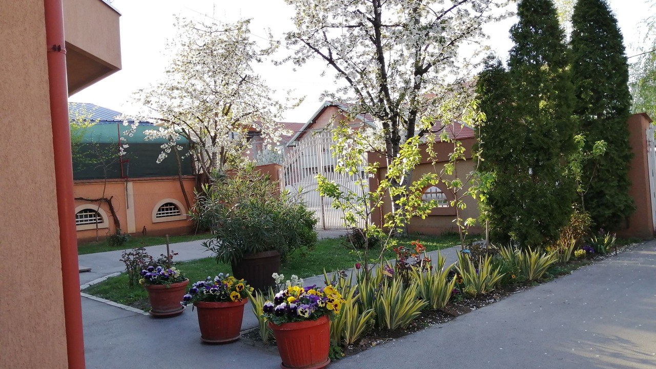 Photo of Outdoor in Zemun