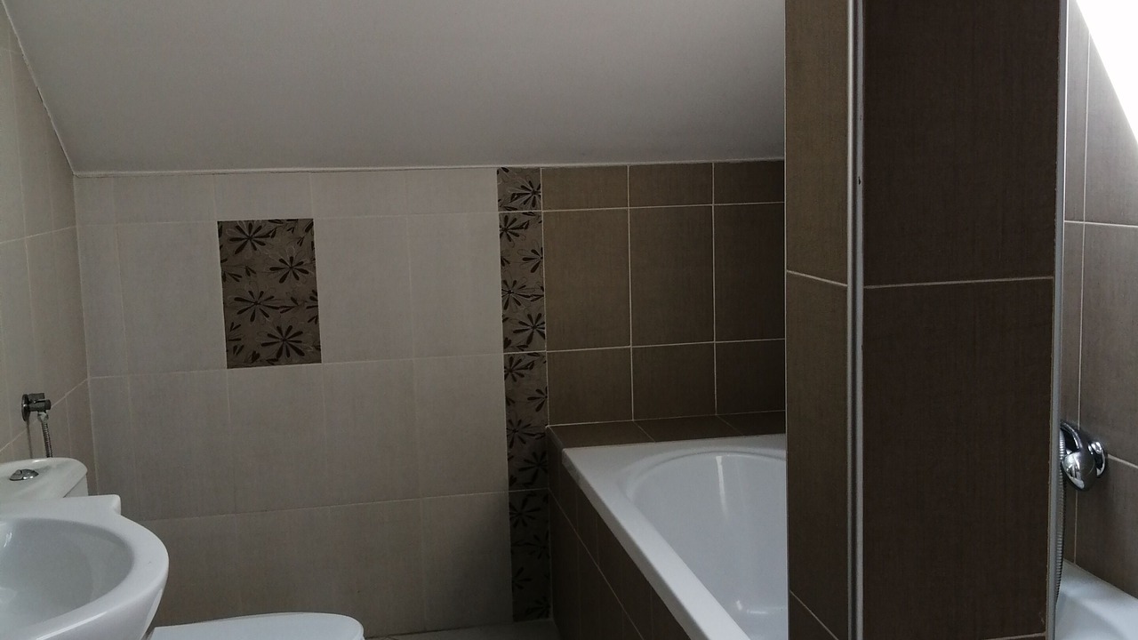 Photo of Bathroom in Zemun