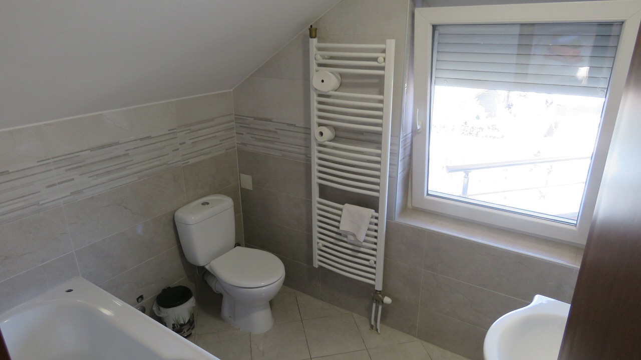 Photo of Bathroom in Zemun