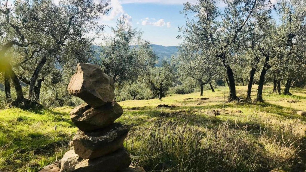 Photo of Others in Greve in Chianti