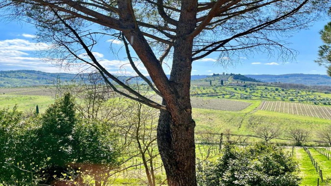 Photo of Others in Greve in Chianti