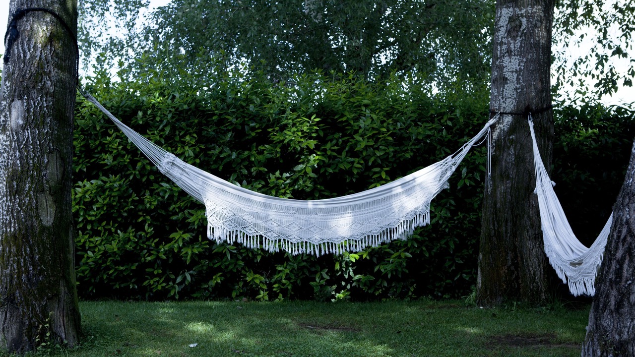 Photo of Outdoor in Isolotto