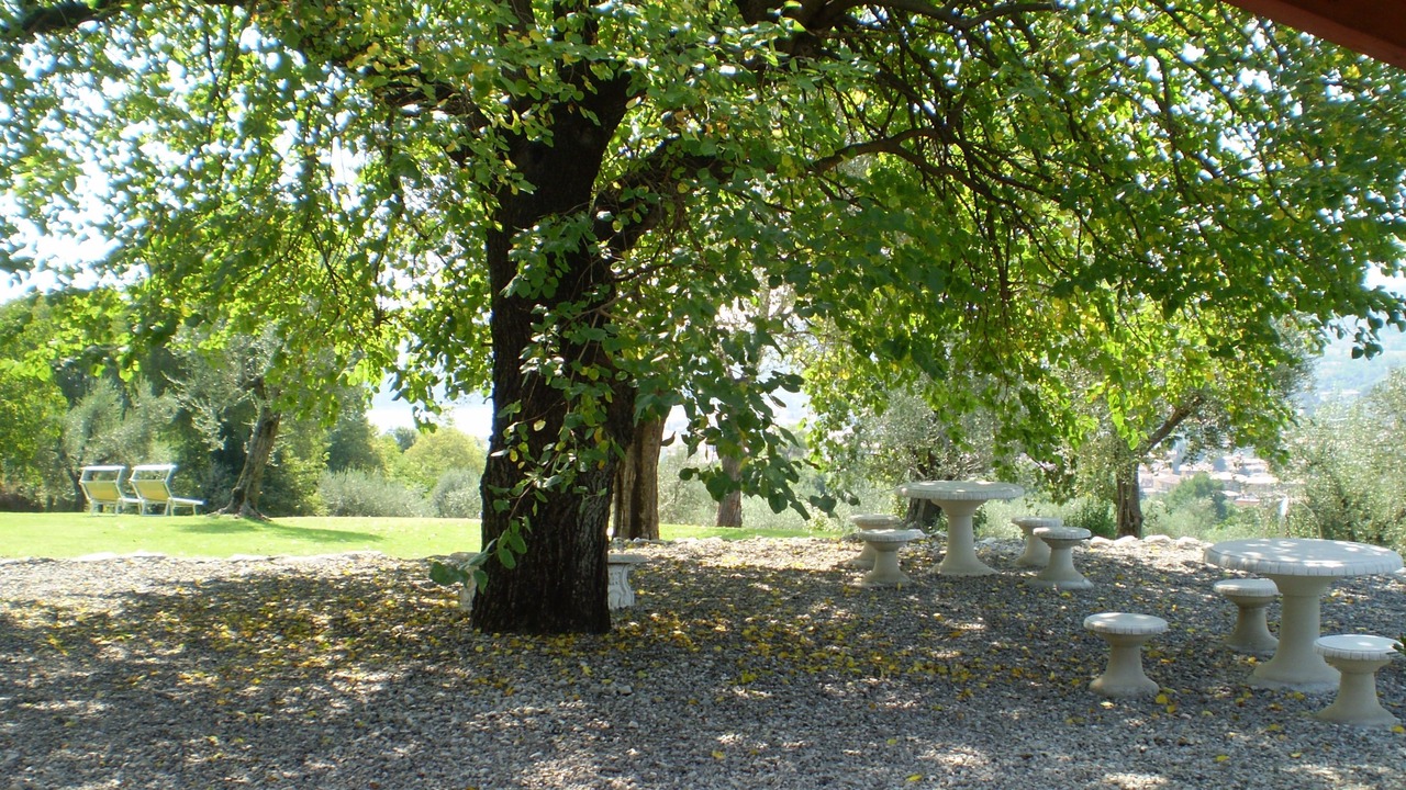 Photo of Outdoor in Renzano