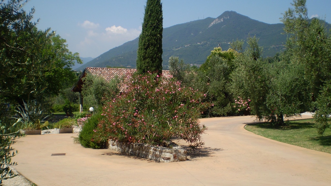 Photo of Outdoor in Renzano