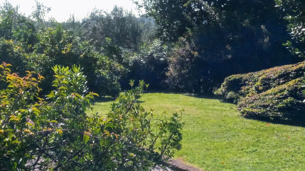 Photo of Outdoor in Renzano
