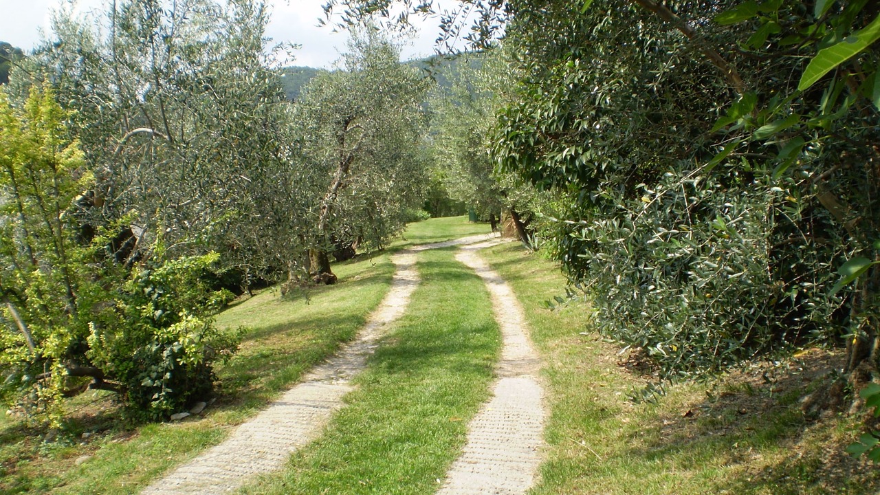 Photo of Outdoor in Renzano