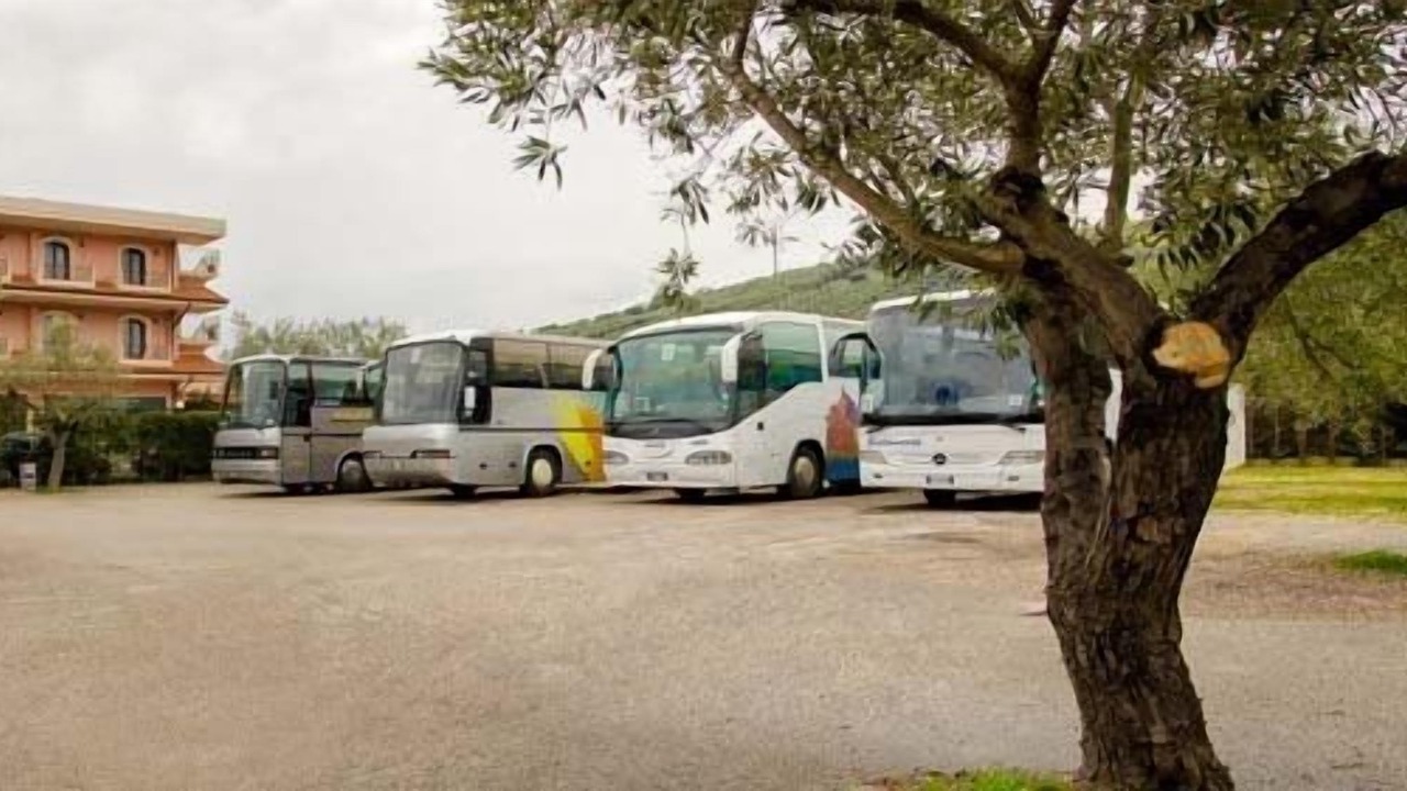 Photo of Others in Tortoreto Lido