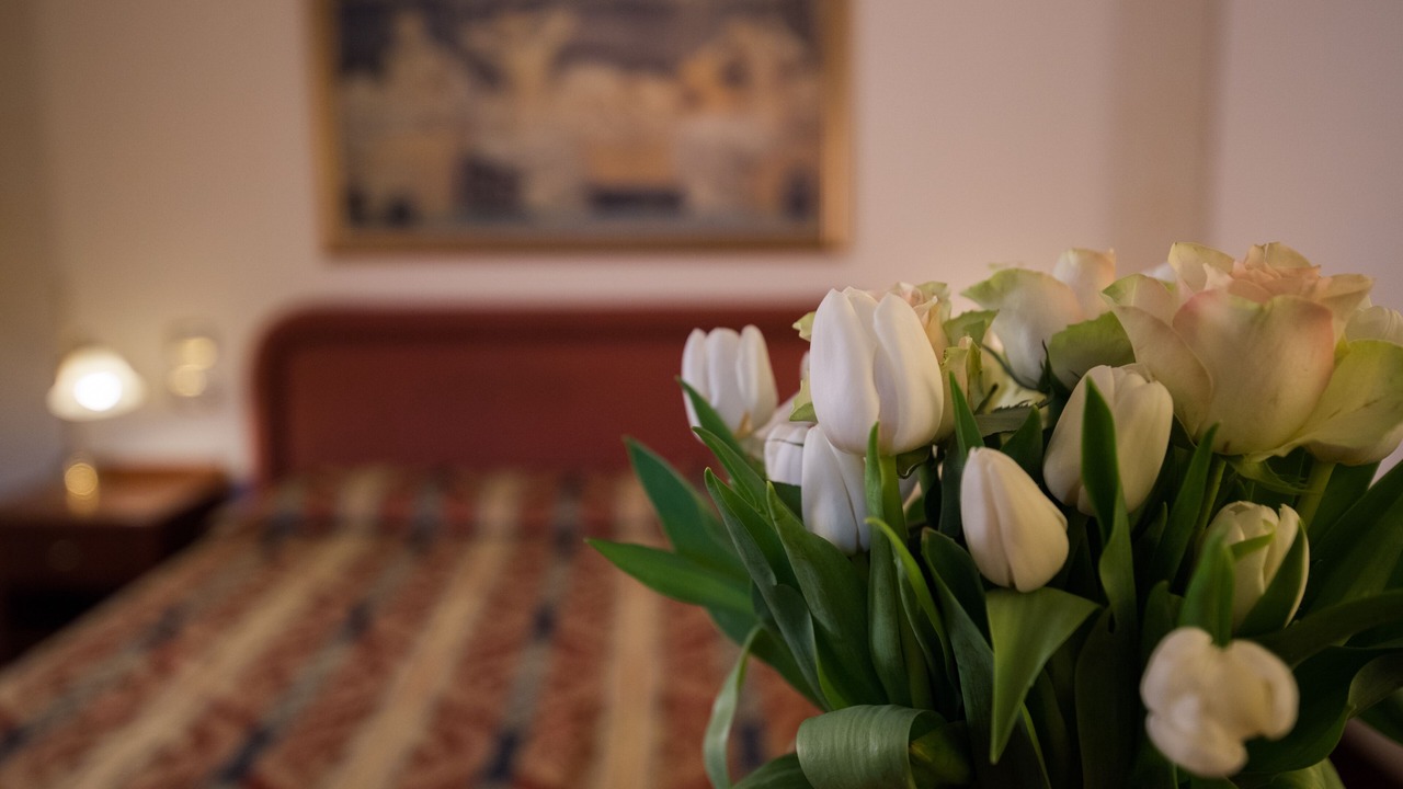 Photo of Bedroom in Genga