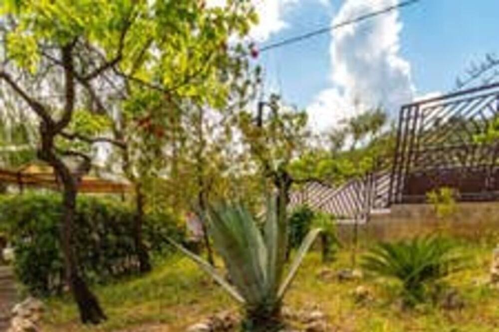 Photo of Outdoor in Mattinata