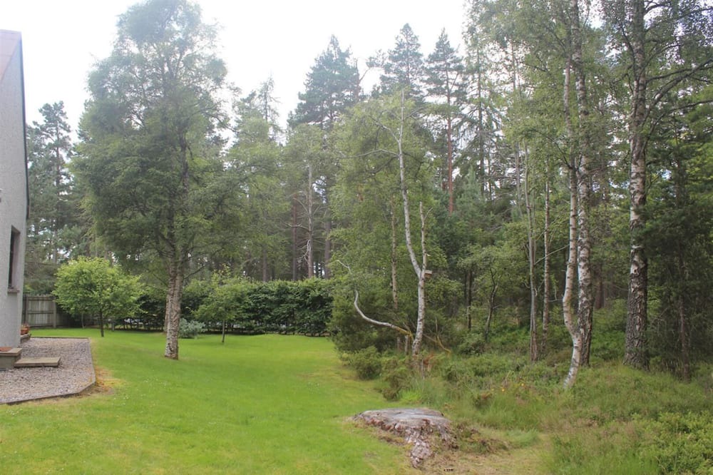Photo of Outdoor in Nethy Bridge