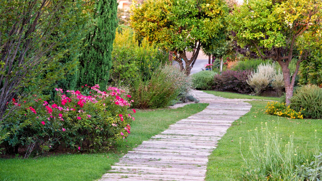Photo of Outdoor in Ercolano