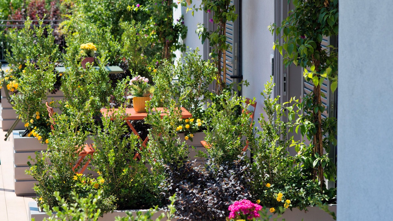 Photo of Patio Balcony in Ercolano