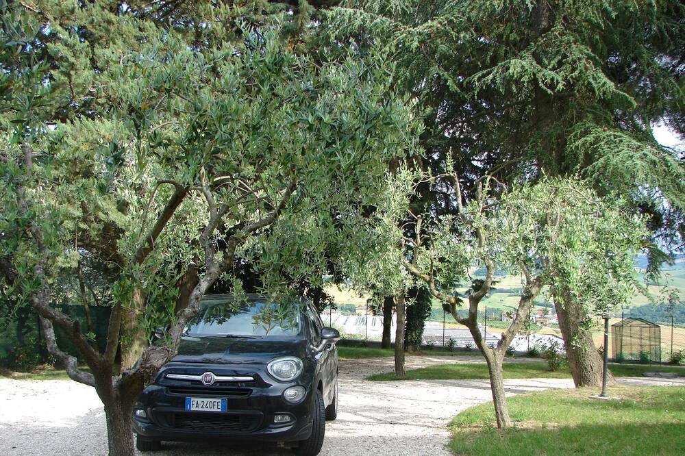 Photo of Outdoor in Mogliano