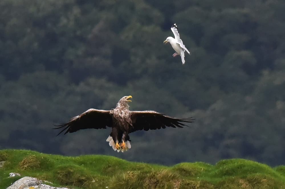 Photo of Others in Oban