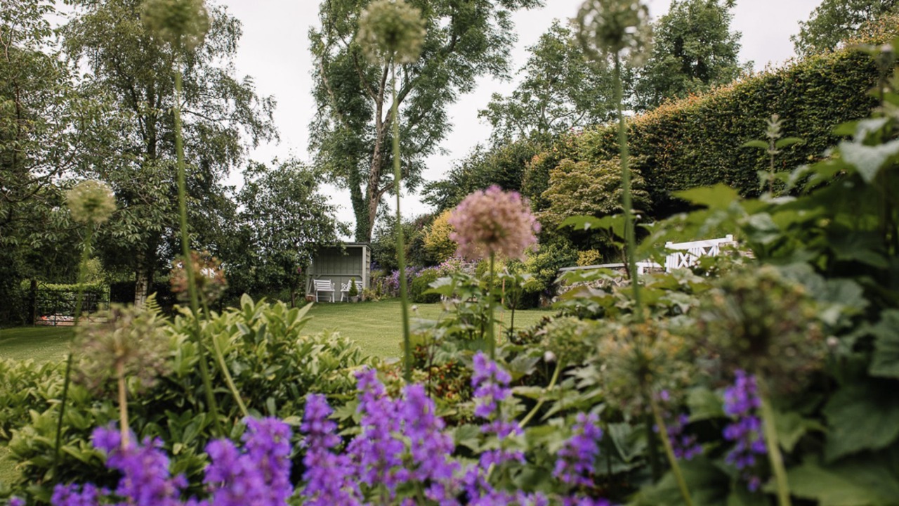 Photo of Outdoor in Hillsborough