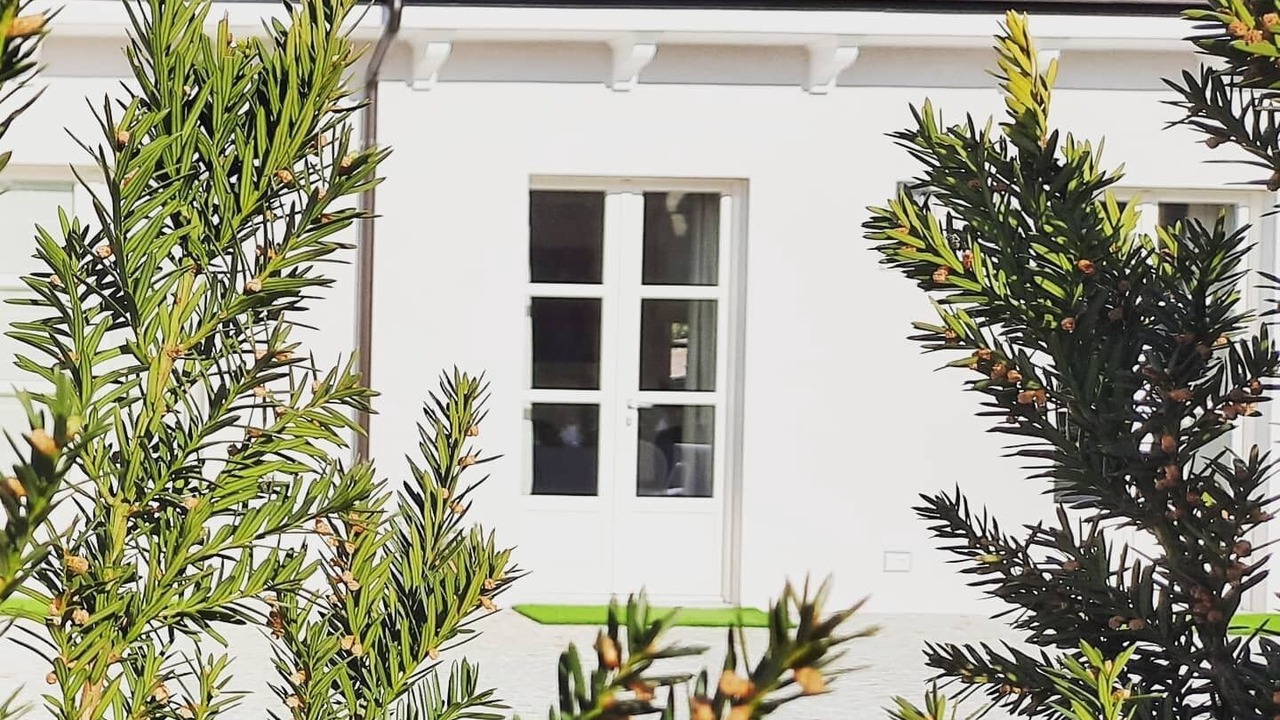Photo of Outdoor in Mango