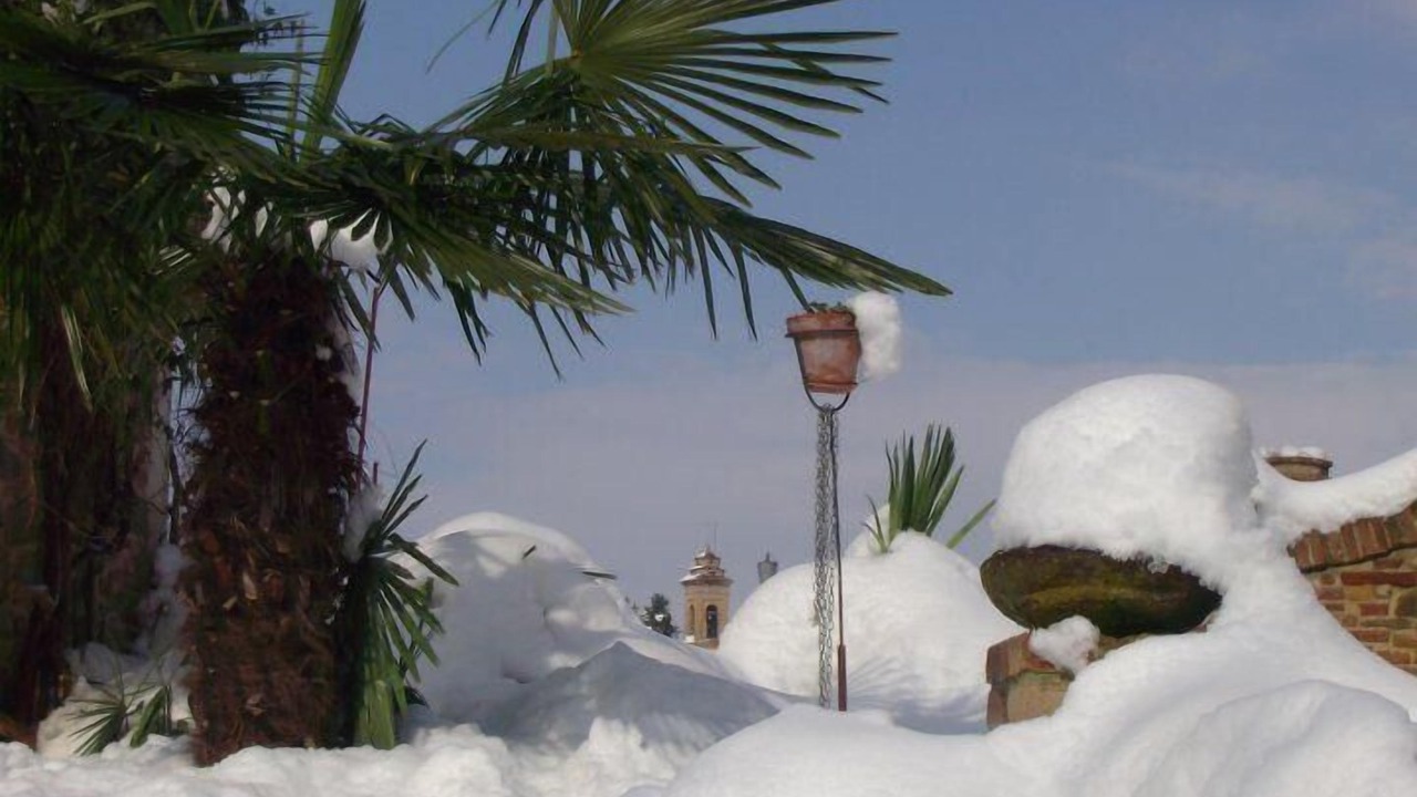 Photo of Outdoor in Piandimeleto