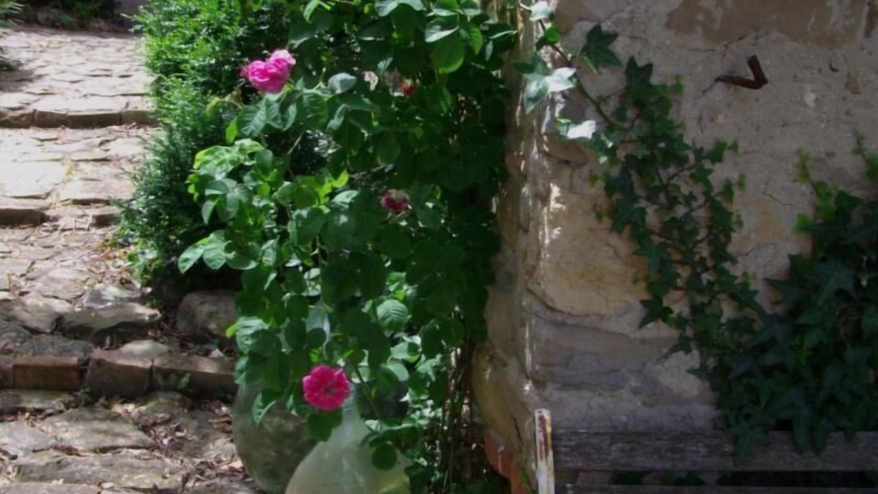 Photo of Outdoor in Piandimeleto