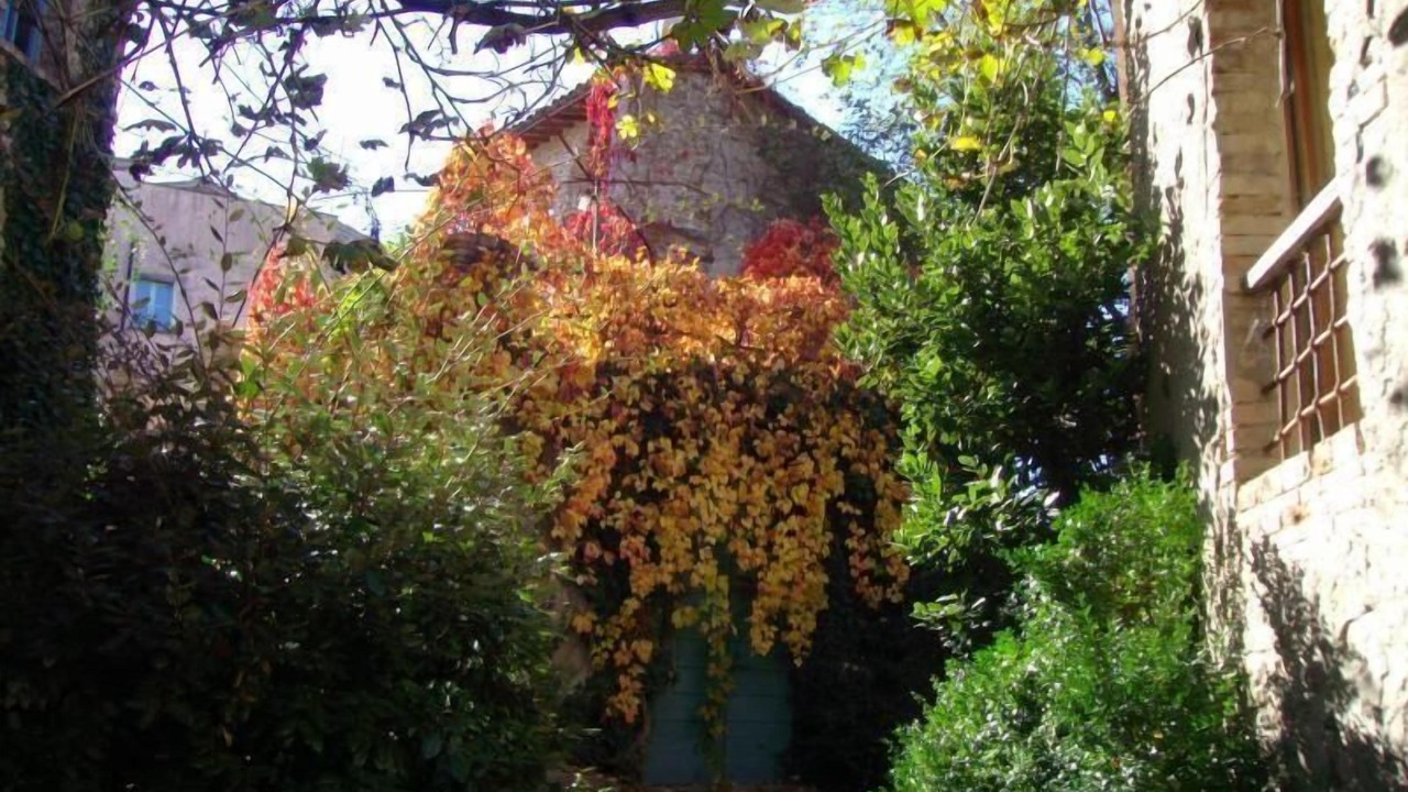 Photo of Outdoor in Piandimeleto