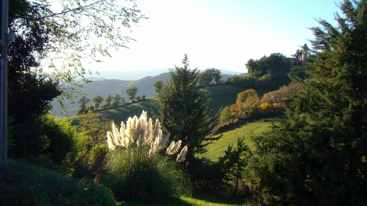 Photo of Outdoor in Piandimeleto