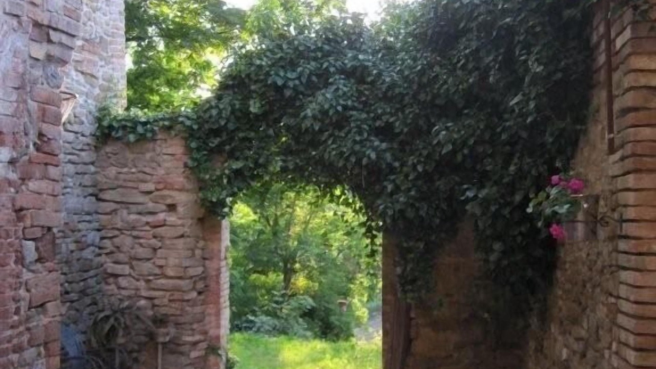 Photo of Outdoor in Piandimeleto