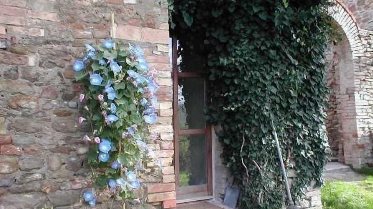Photo of Outdoor in Piandimeleto
