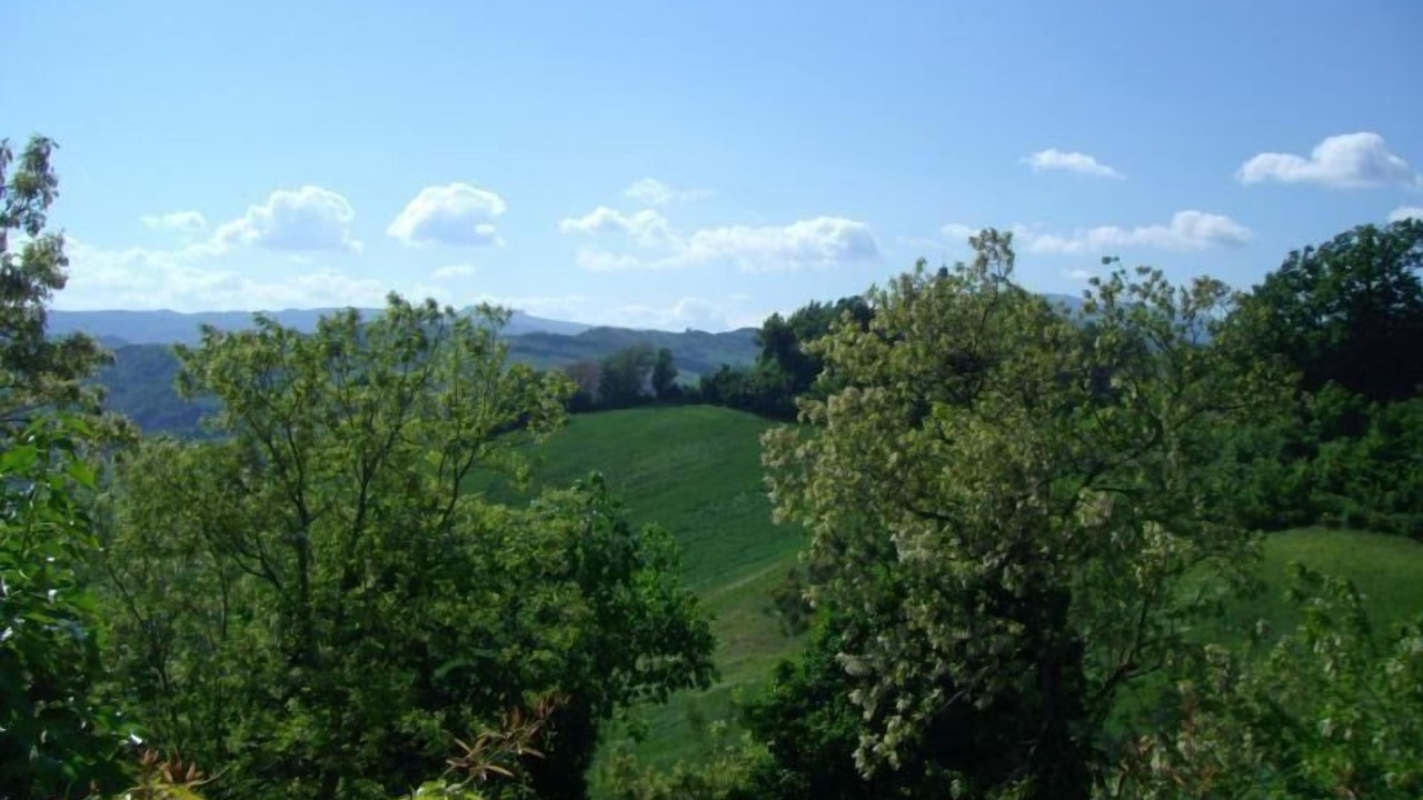 Photo of Outdoor in Piandimeleto