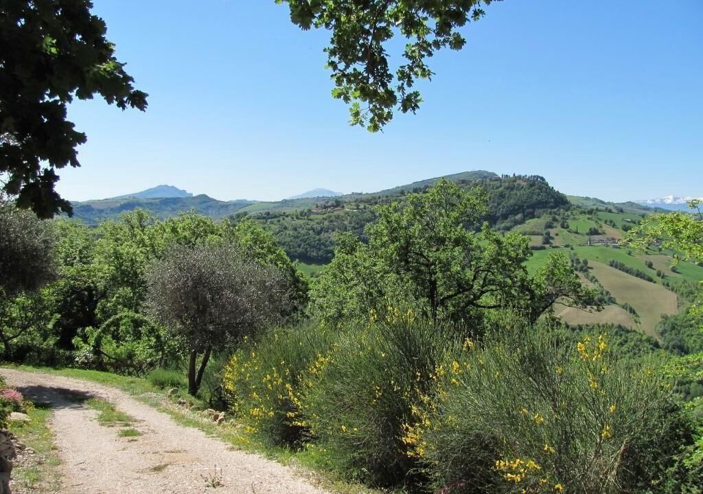 Photo of Outdoor in Penna San Giovanni