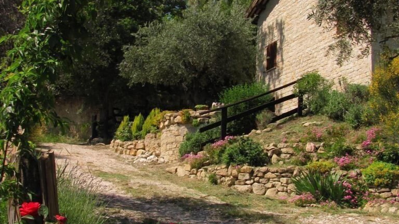 Photo of Outdoor in Penna San Giovanni