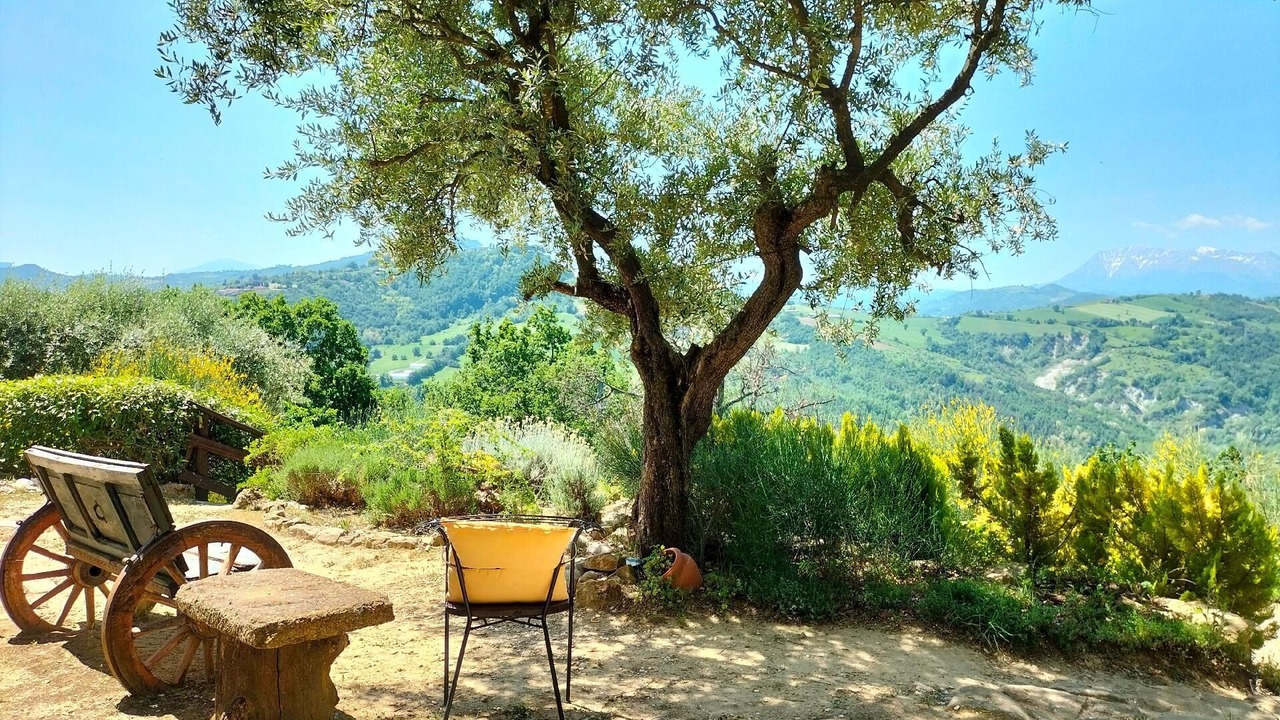 Photo of Outdoor in Penna San Giovanni