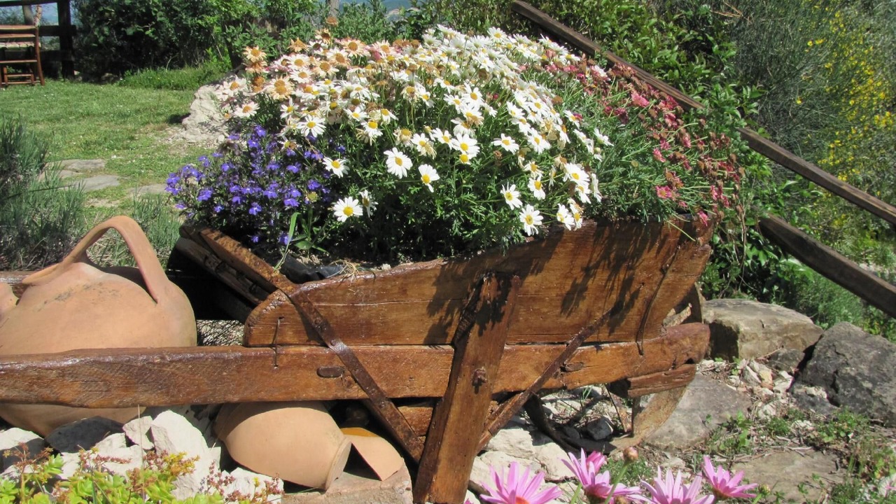 Photo of Outdoor in Penna San Giovanni