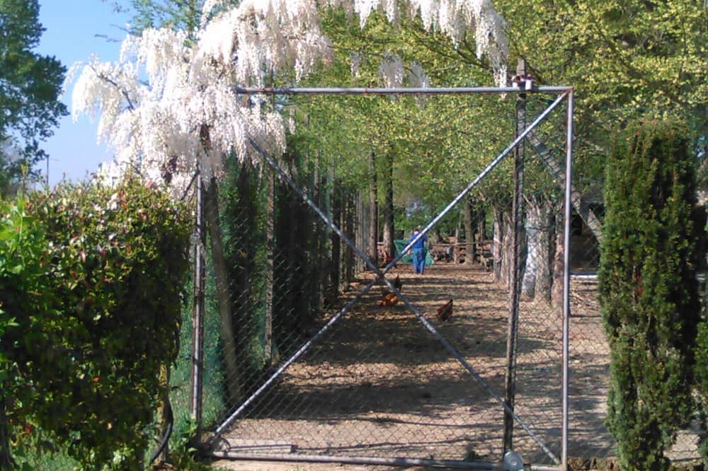 Photo of Outdoor in Noale