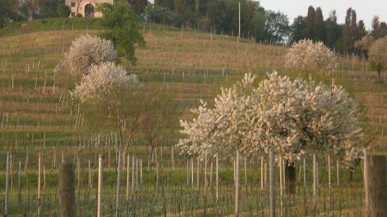 Photo of Outdoor in Manzano