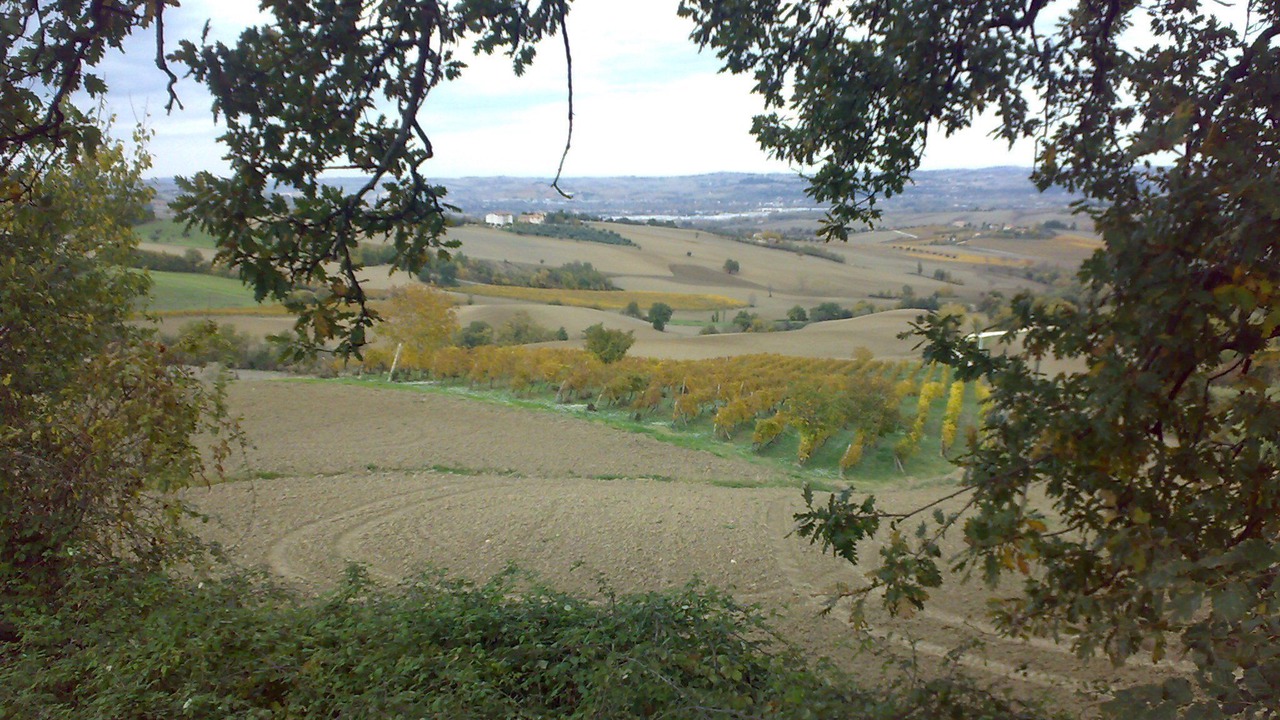 Photo of Others in Staffolo