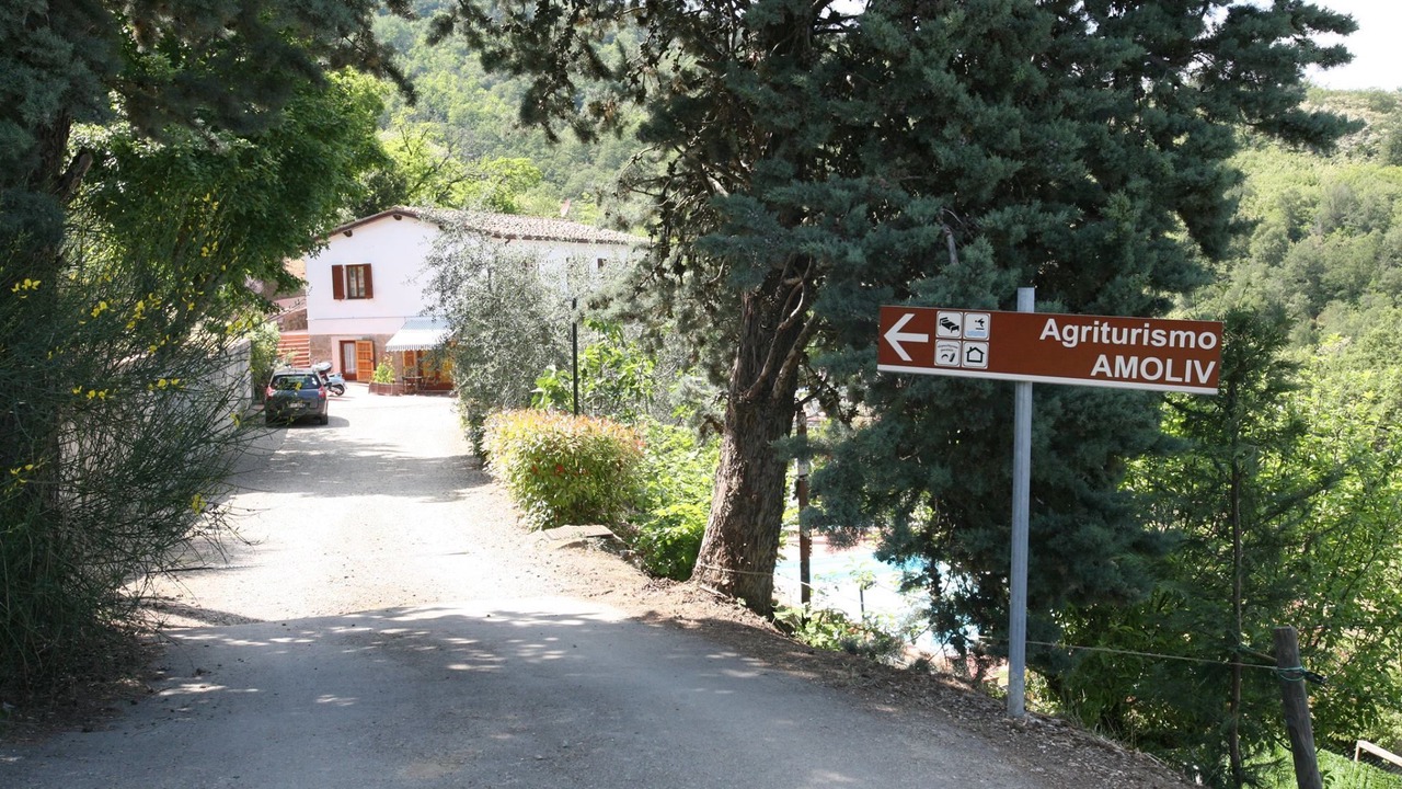 Photo of Outdoor in Castelnuovo dei Sabbioni