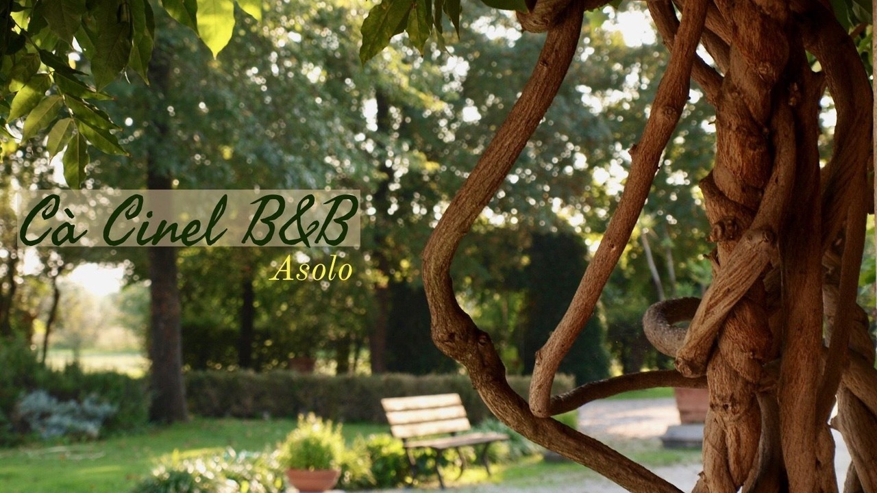 Photo of Others in Asolo