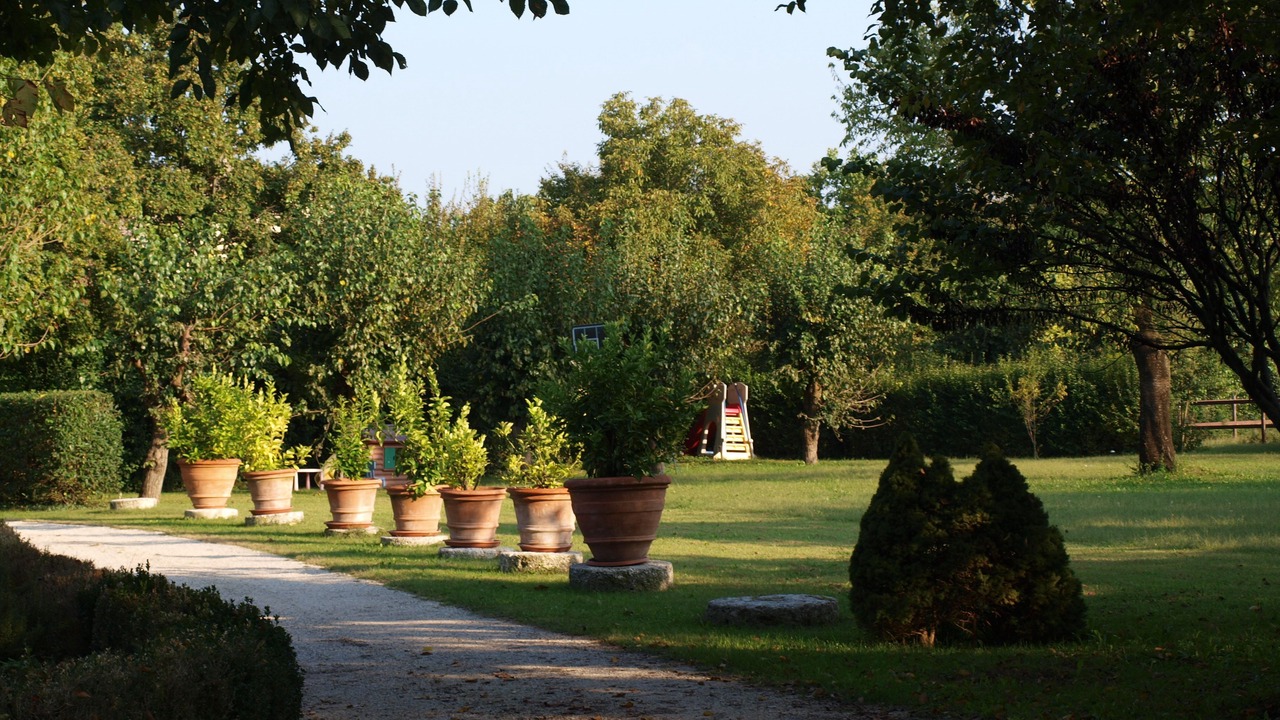 Photo of Outdoor in Asolo