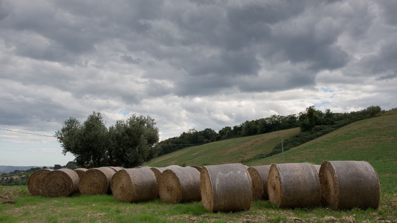 Photo of Outdoor in Castignano